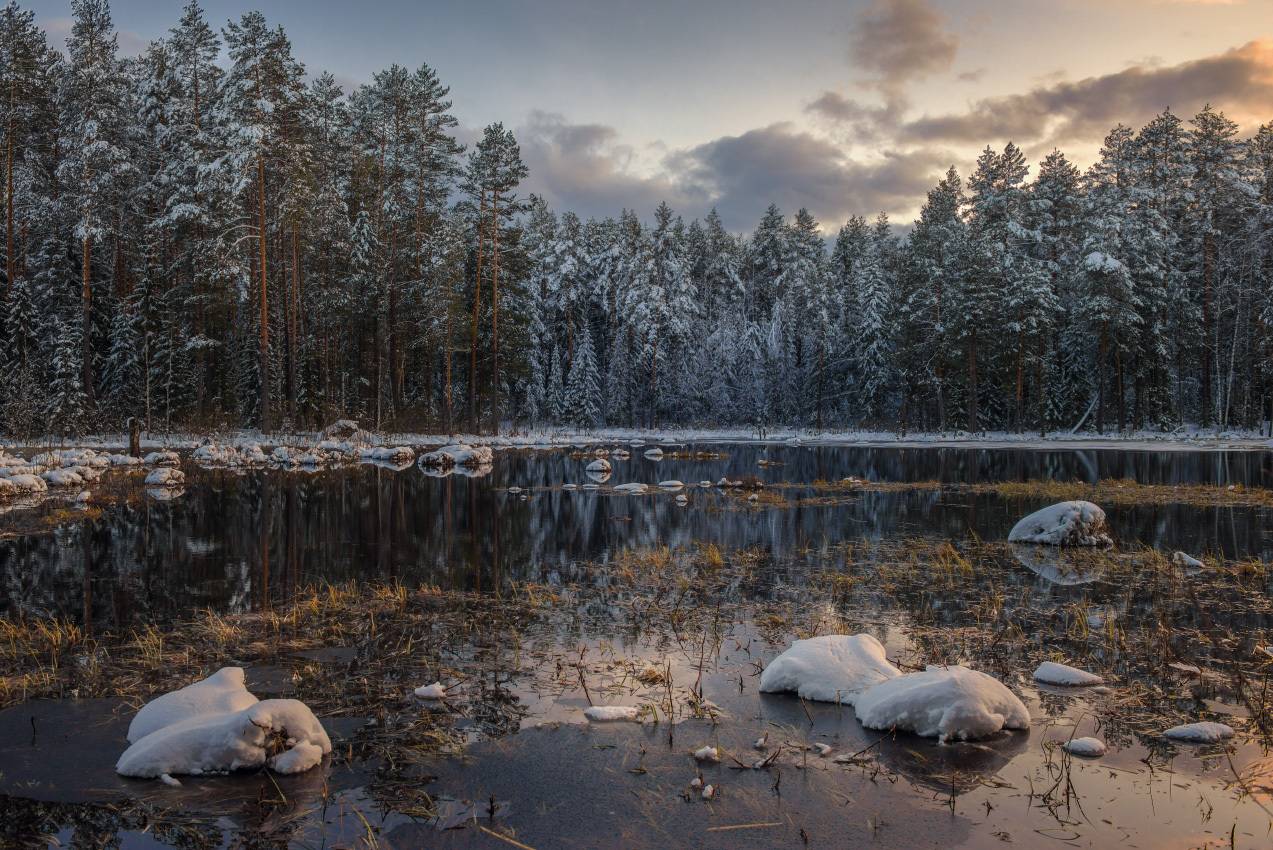 Притихло.. Автор: Алексеев Дмитрий вечер лес речка снег половодье суходол серково, Алексеев Дмитрий
