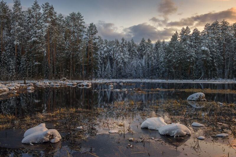 вечер лес речка снег половодье суходол серково Притихло.photo preview