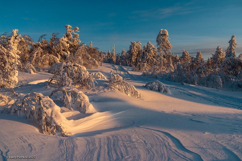 шерегеш, утро, скалы верблюды, иней, пихты, кедры, снег, гора шатёр, горная шория, смена погоды, мороз, зима, сибирь Утро на склонах горы Шатёрphoto preview