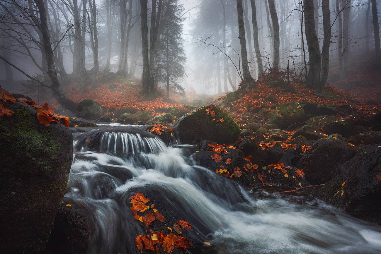 landscape nature scenery forest wood autumn mist misty fog foggy river longexposure mountain rocks vitosha bulgaria, Александър Александров