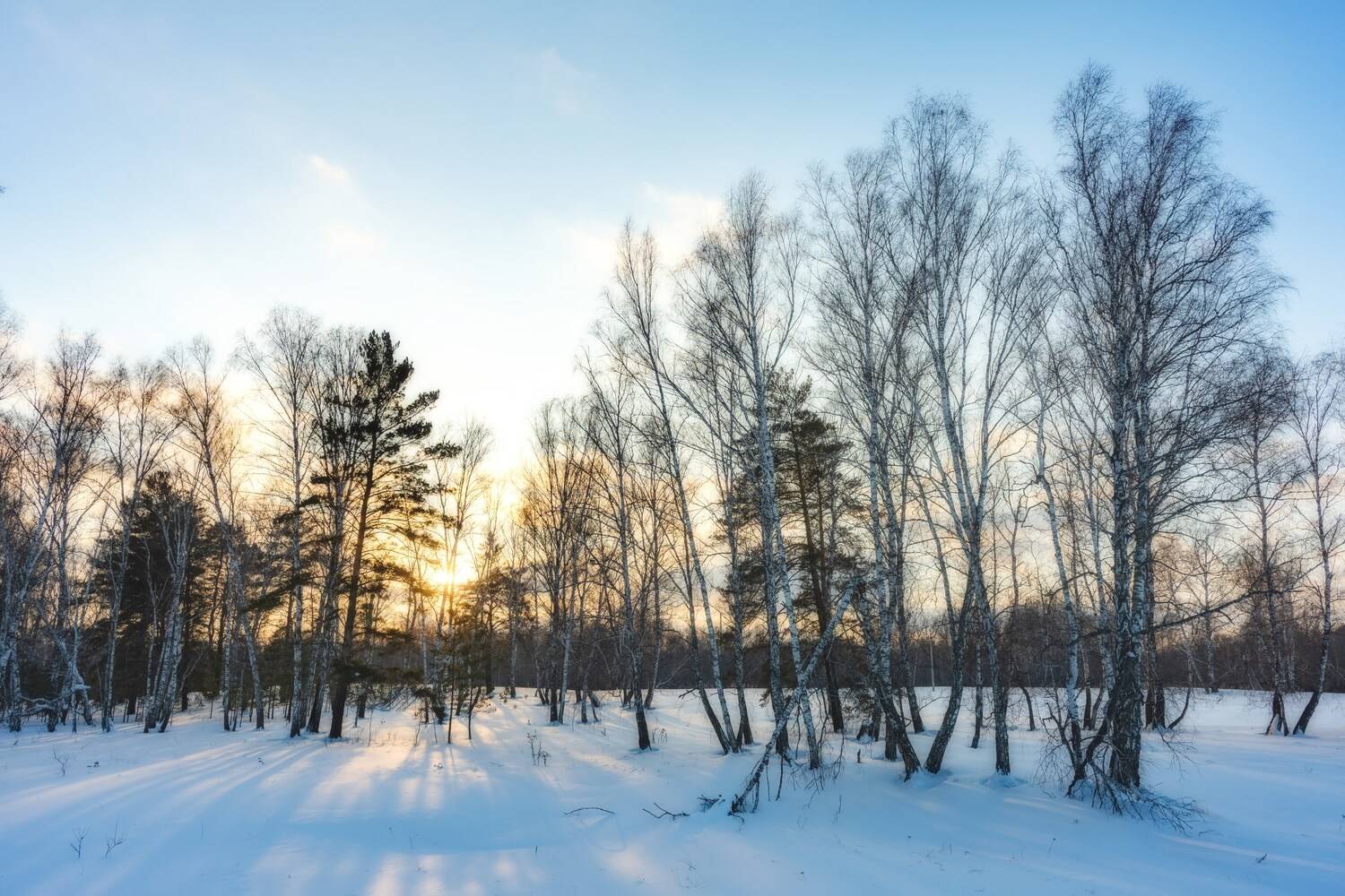 , Нигматуллин Руслан