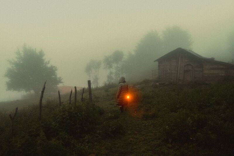 Lost in the fog фото превью