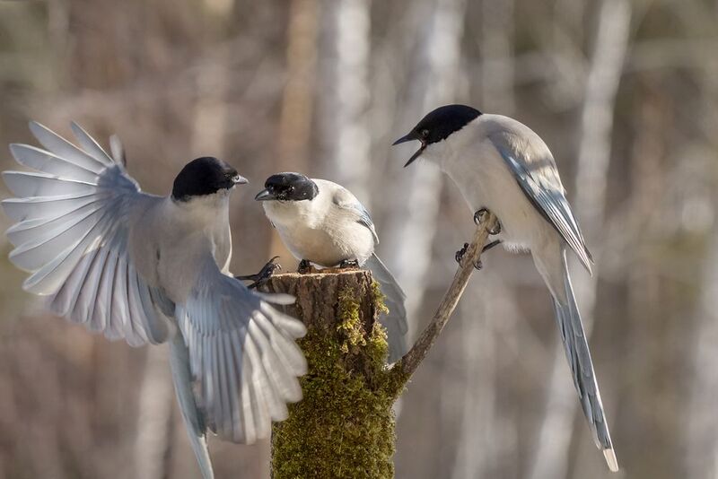 Новости фото превью