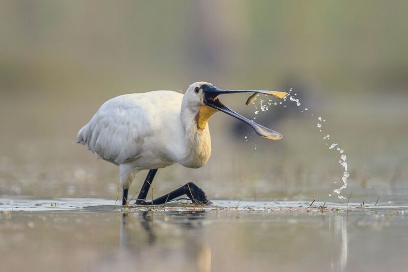 Рыбалка фото превью