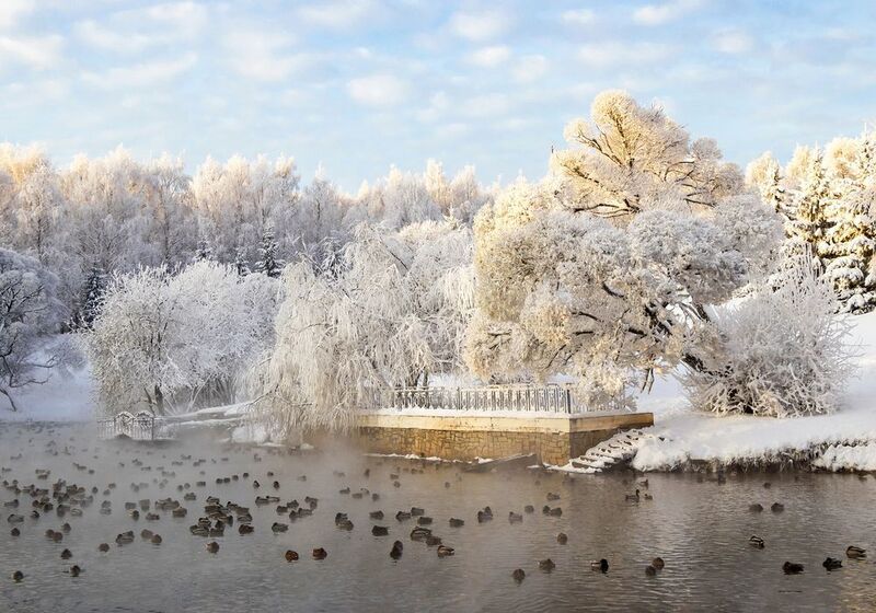 Киров, зима, парк им.Кирова, пруд, деревья Морозный денекphoto preview