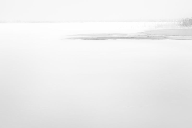 минимализм, монохром, чб, пейзаж, зима, озеро, камыш, туман, снег, утро Пауза фото превью