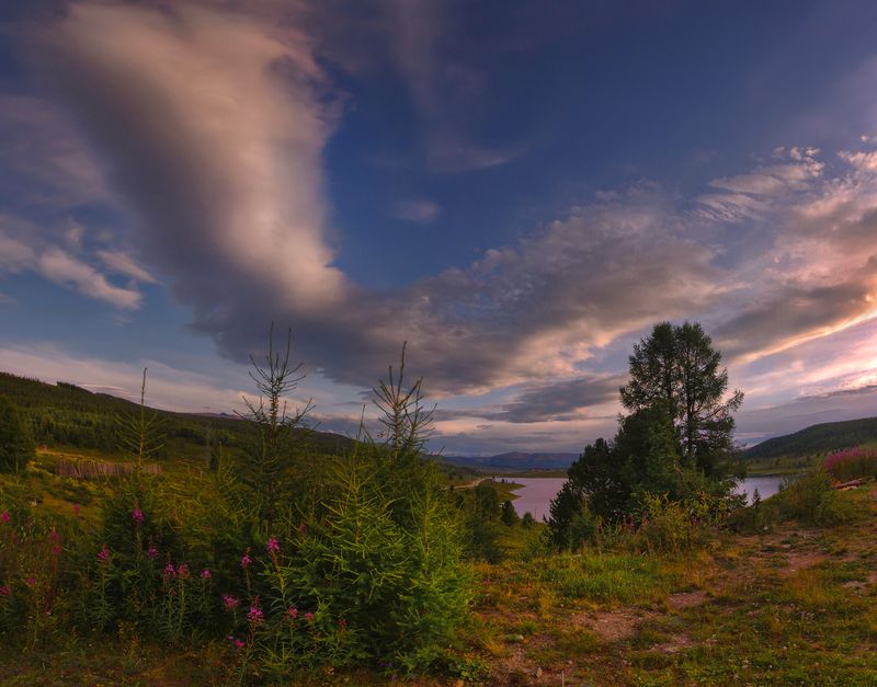 алтай, лето, горы, озеро, вода,узункёль, цветы, иван-чай, кипрей, небо, облака, вечер, валерий_чичкин Летний вечерphoto preview