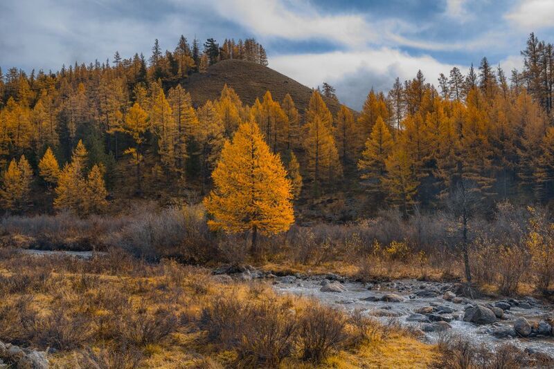 россия, горный алтай,осень ***photo preview