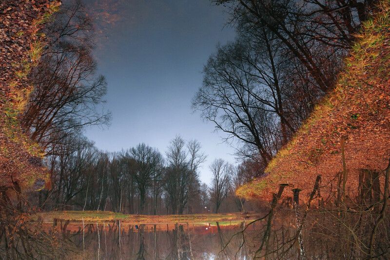 Перевертыш..photo preview