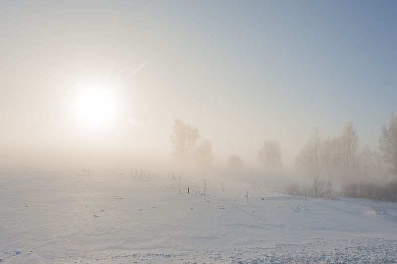 Туманным утромphoto preview