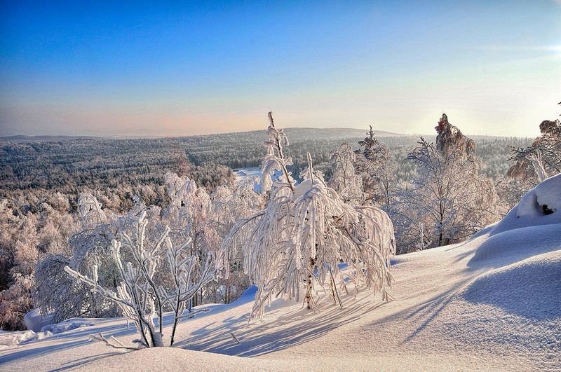 Мороз и солнцеphoto preview