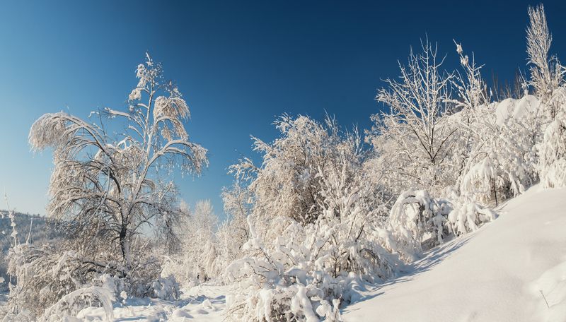 Заснеженной тропой...photo preview
