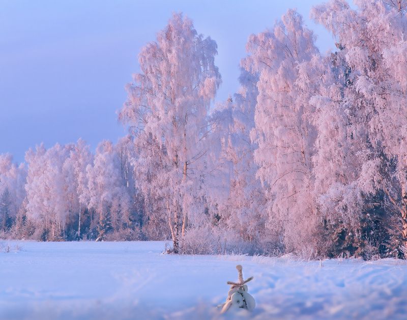 Фототуры с Владимиром Рябковым, #topnature #russpasibo #magic_shots #lovelyRussia #sunset_vision #exclusive_sky  #exclusive_shots #loves_russia2 #photoarena_nature #nature_sultans #nature_perfection #rsa_sky #rsa_sunset #photorussia #rsa_naturepics #sunse Русская зима.photo preview