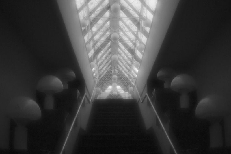 Грибное восходящееphoto preview