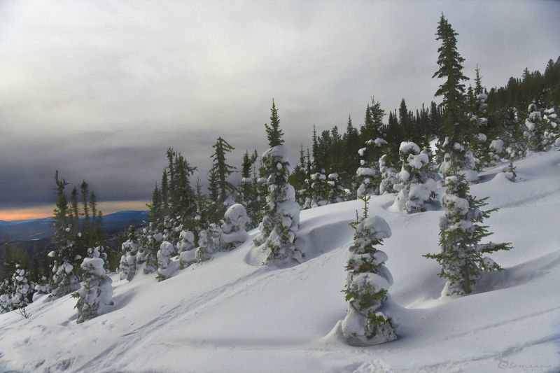 Зима сибирскаяphoto preview