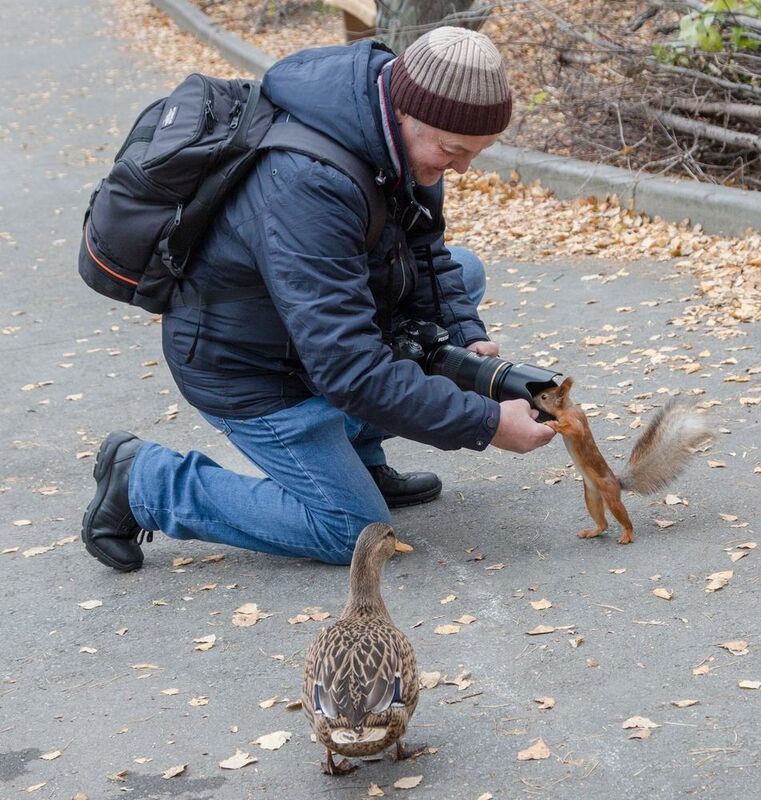 Осеньphoto preview