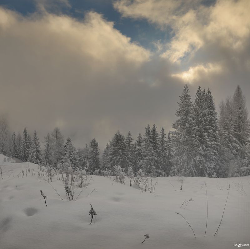 swiss Январь...photo preview