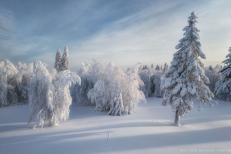 Зимнее настроение фото превью
