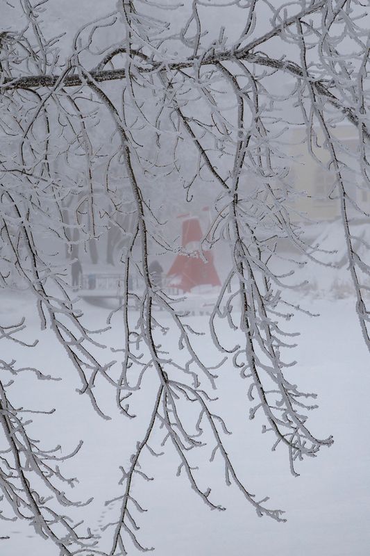октябрьское ущелье, зима, снег, природа, зимний лес Январь в Октябрьском ущелье фото превью