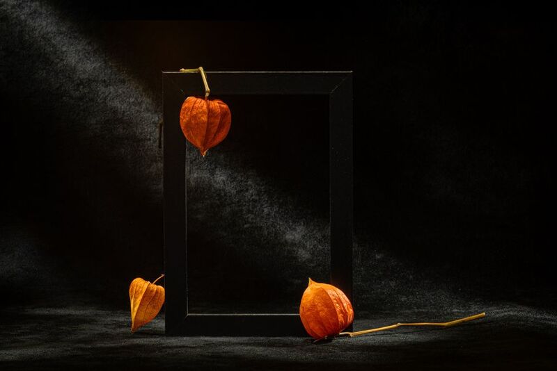 close-up Этюд с физалисом III фото превью