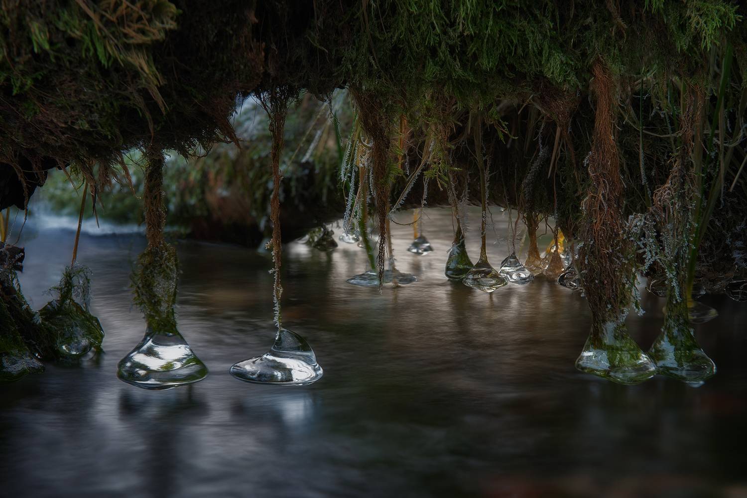 На Кольском полуострове. Автор: Рудаков Глеб , Рудаков Глеб