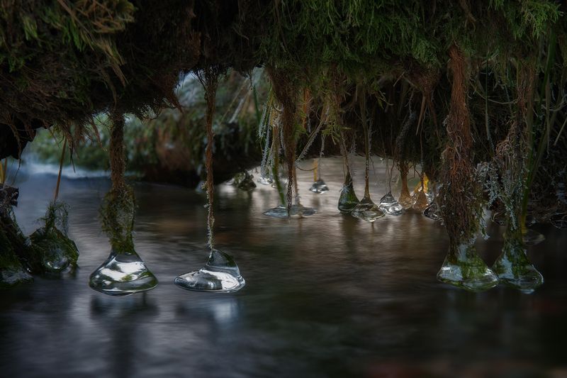 На Кольском полуостровеphoto preview