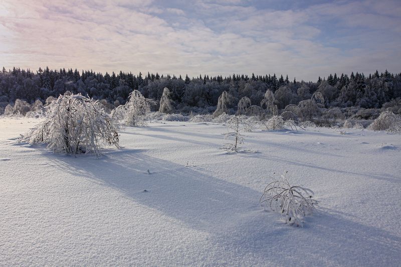 Московская обл. Зимние истории...photo preview