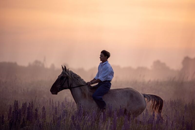 Рассветphoto preview