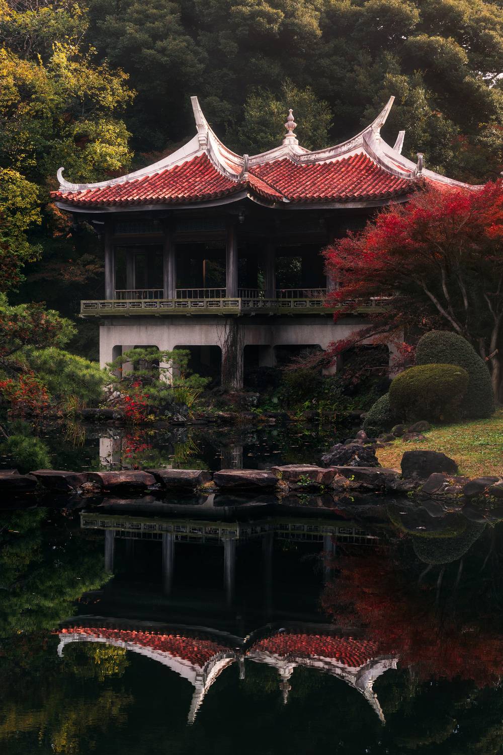 парк япония осень момидзи токио tokyo momidji autumn red, Сергей Садов