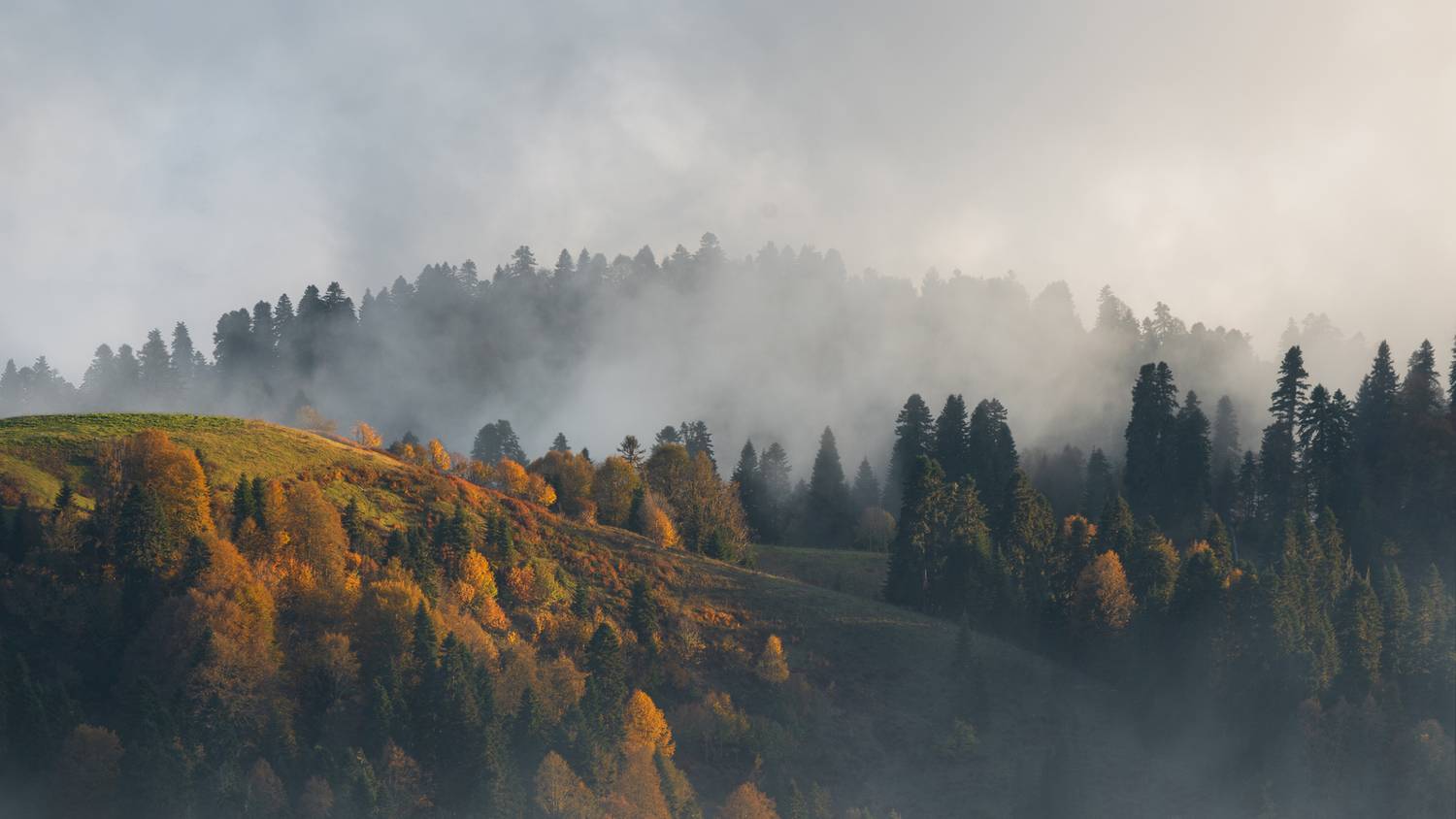 горы, лес, туман, осень, красная поляна, Растворов Игорь
