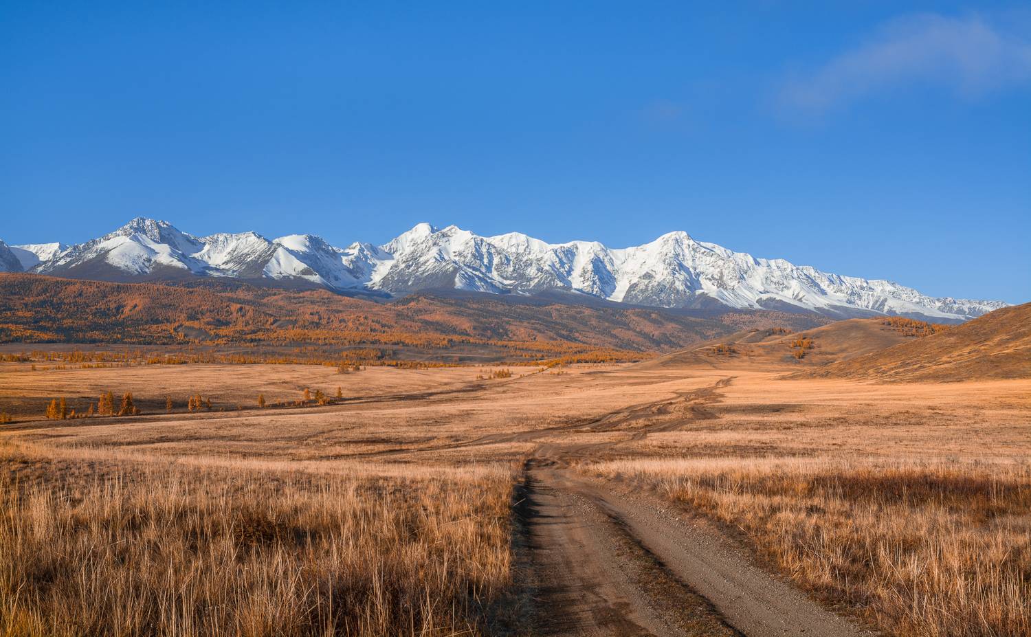 Курайская степь. Автор: Андрей Поляков россия, горный алтай, курайская степь, счх, дорога, грунтовка, направление, осень, Андрей Поляков