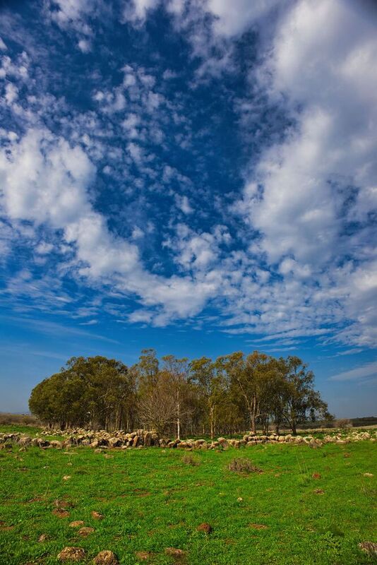 Golan Heightsphoto preview