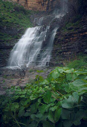 Movement and imagination