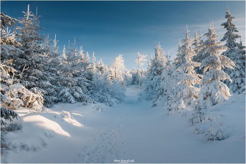 polska, zima ***photo preview