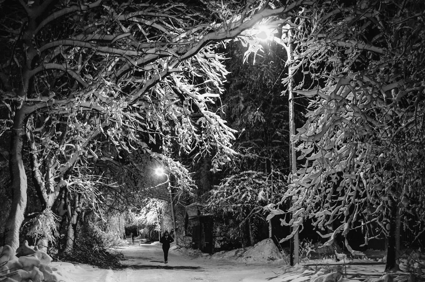 , Мелекесцев Игорь