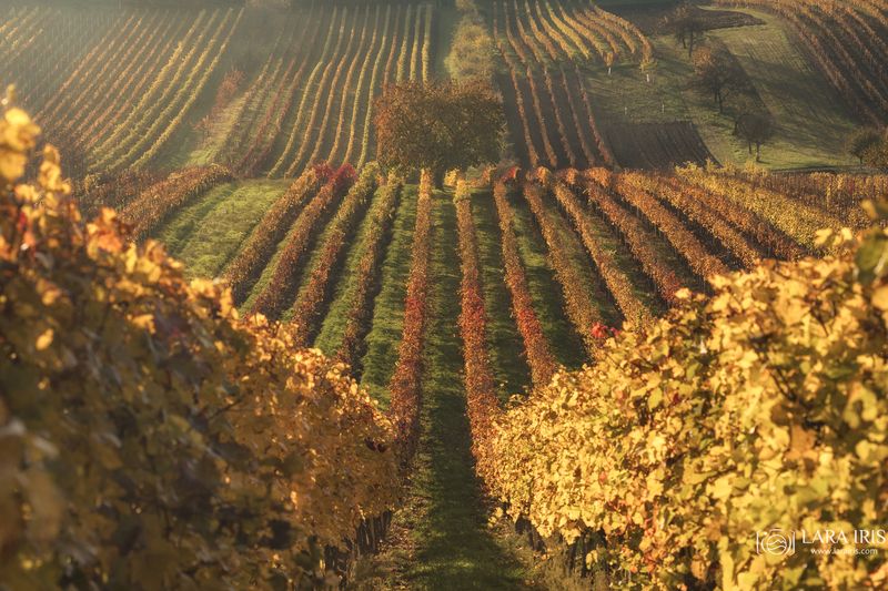 Моравия фото превью