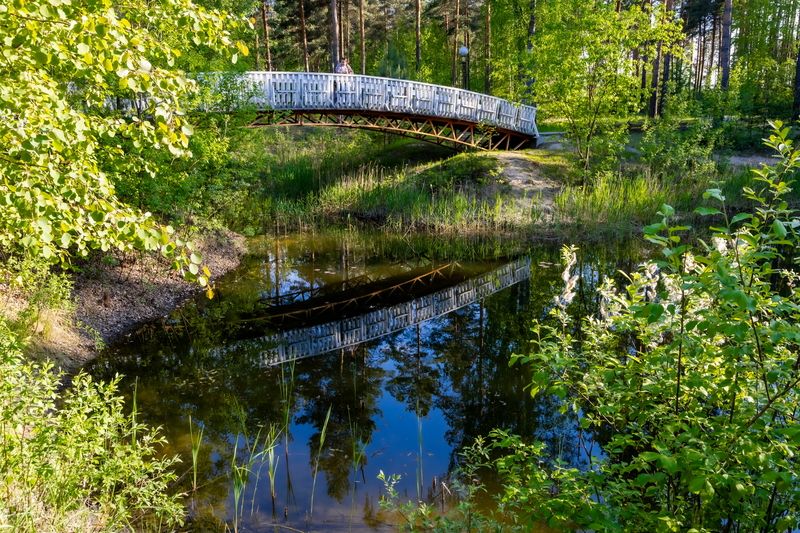 Мостикphoto preview