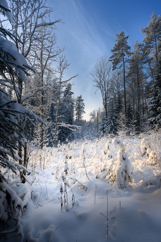 *** фото превью