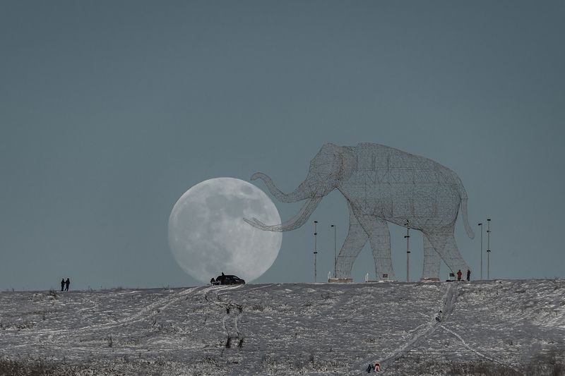 кавказ, ставропольский край, ставрополь, зимний город, луна, полнолуние, статуя, скульптура, fullmoon, moon, 600 мм Слон играющий с Луной фото превью