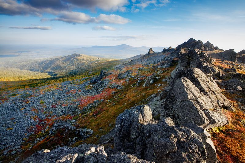 Серебрянка фото превью