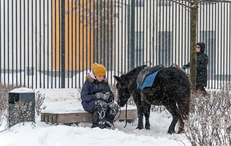Нет желающих покататьсяphoto preview