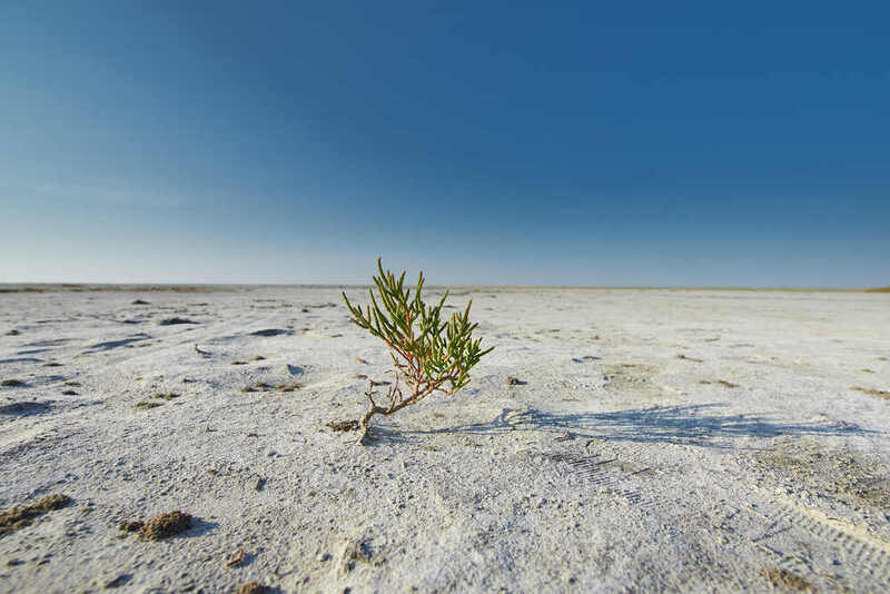 эльтон, волгоградская область,  Эльтон фото превью