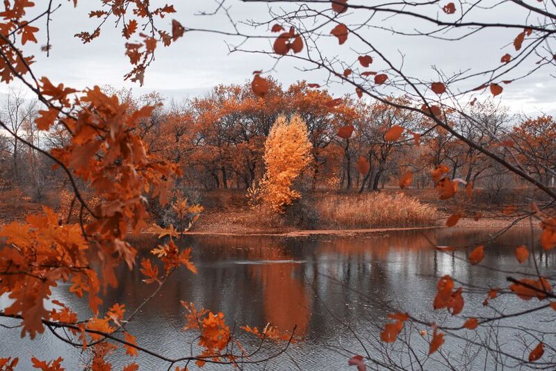 ерик, волгоград, осень,  Осень на ерике Гнилом фото превью