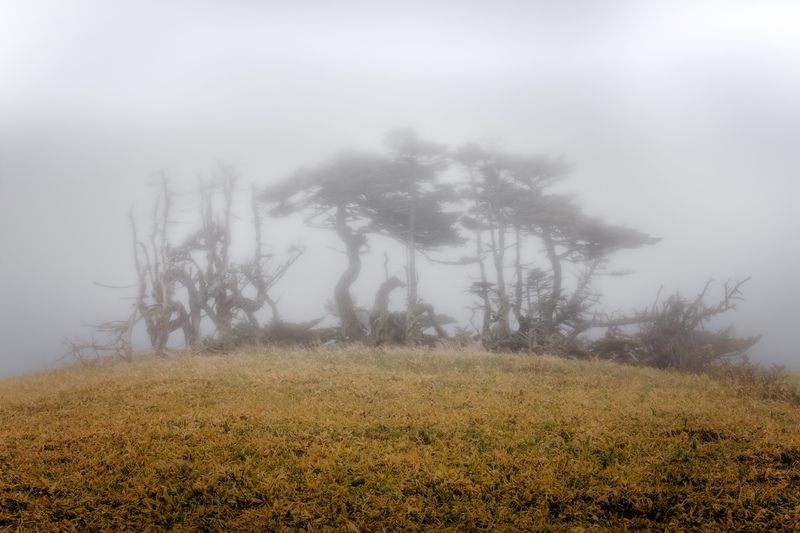 Туманы острова Шикотанphoto preview