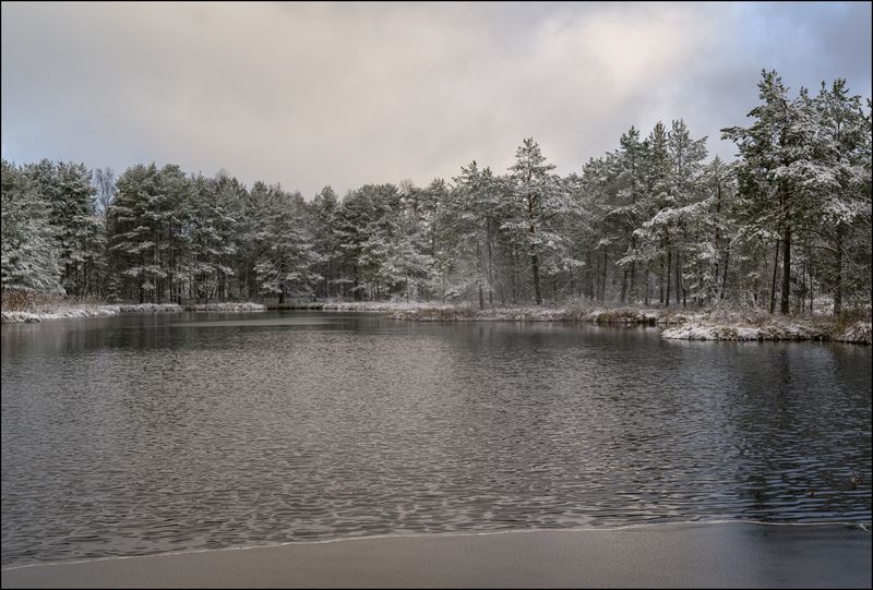 Первый снег на торфяниках (продолжение 1)photo preview