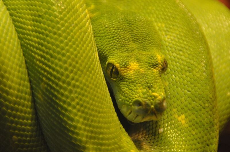 Природаphoto preview