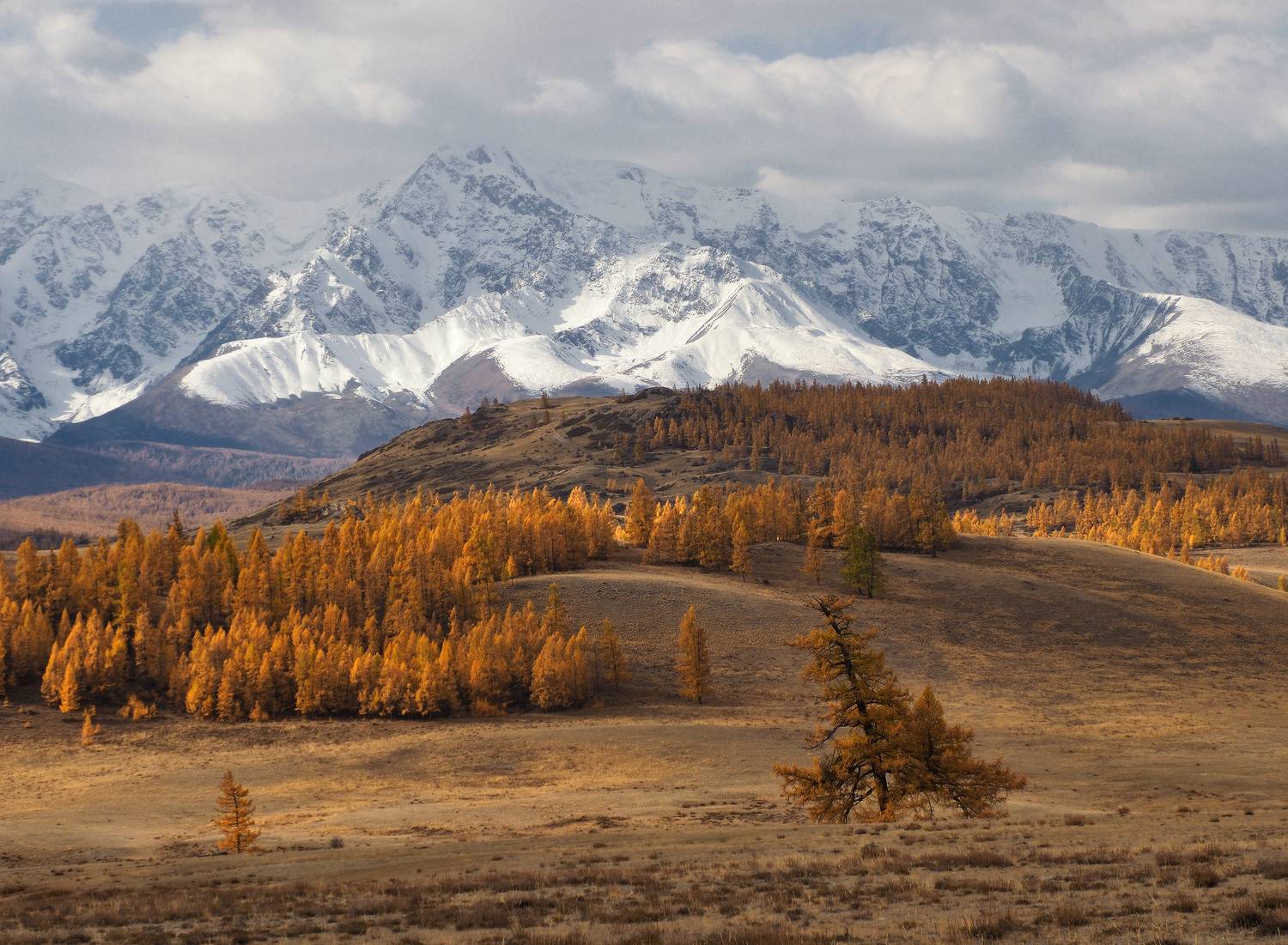 алтай, горный алтай, курай, Галина Хвостенко