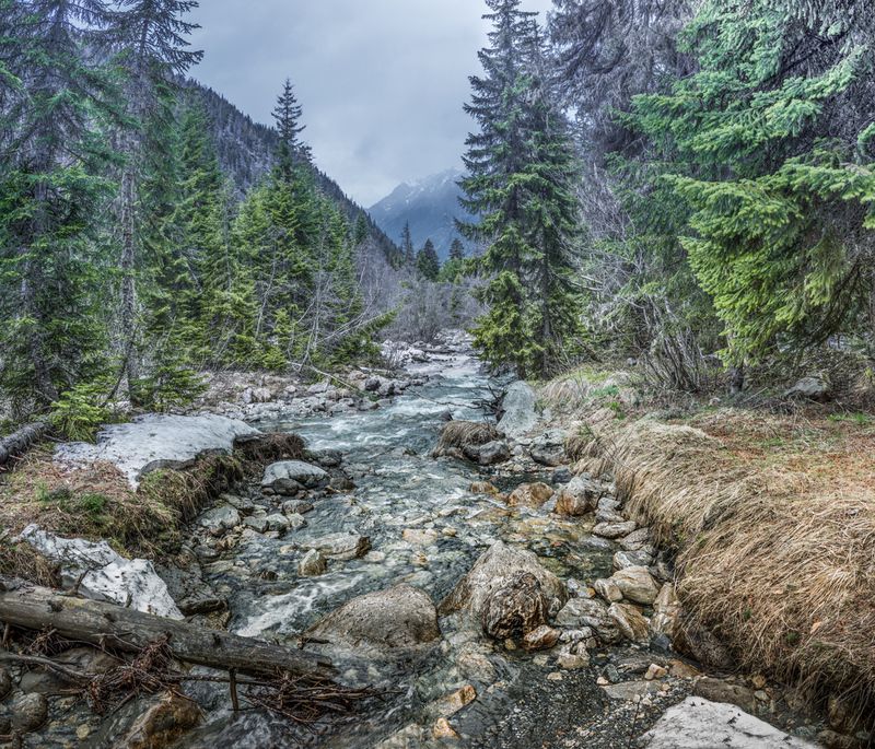 Тебердинский заповедник.Река Гоначхир.photo preview