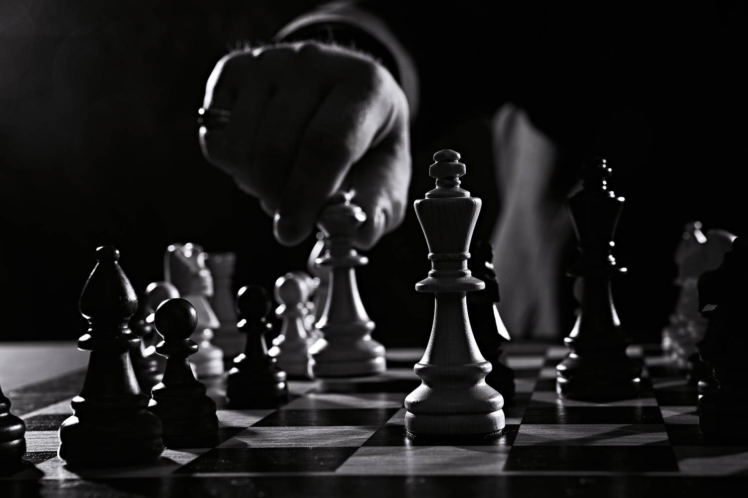 , Дарья Комарова