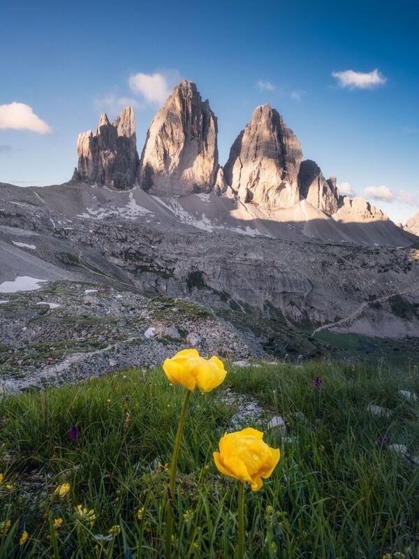 фото превью